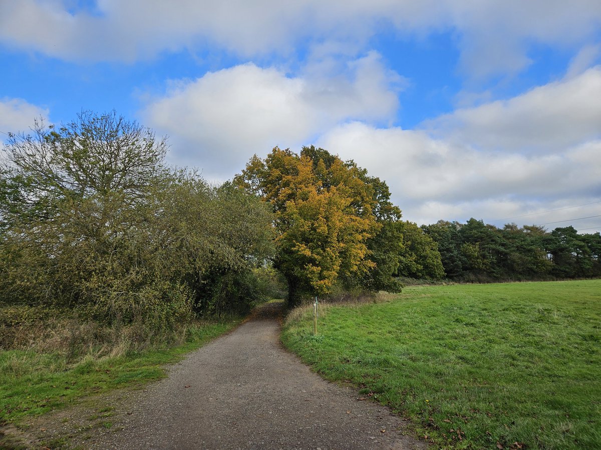 RJonTourUK tweet media