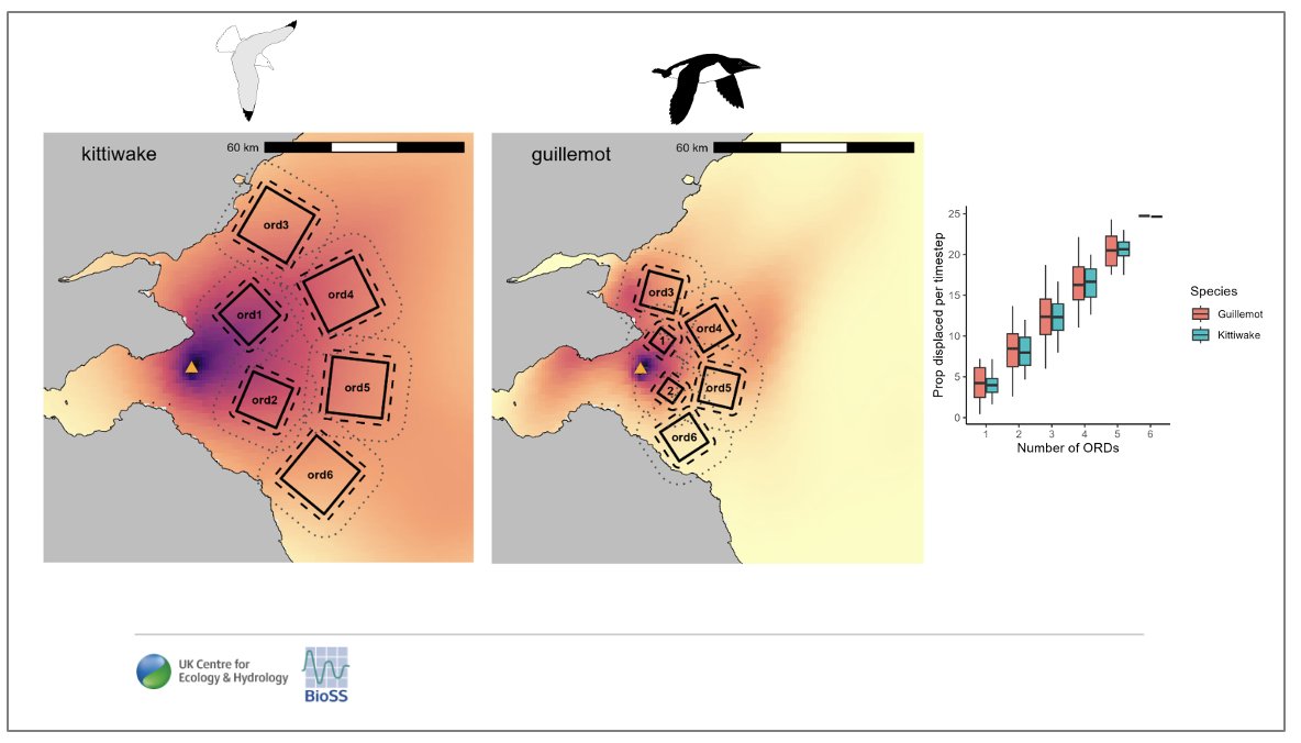 Tony_Auk's tweet photo. We used SeabORD to predict how increasing number of ORDs would impact two main model outputs (adult mass loss and breeding success) for kittiwakes and guillemots by using all possible combinations of the pictured hypothetical ORDs.
(4/6) #BOUasm24 #SESH2 https://t.co/BdizD1yP1n