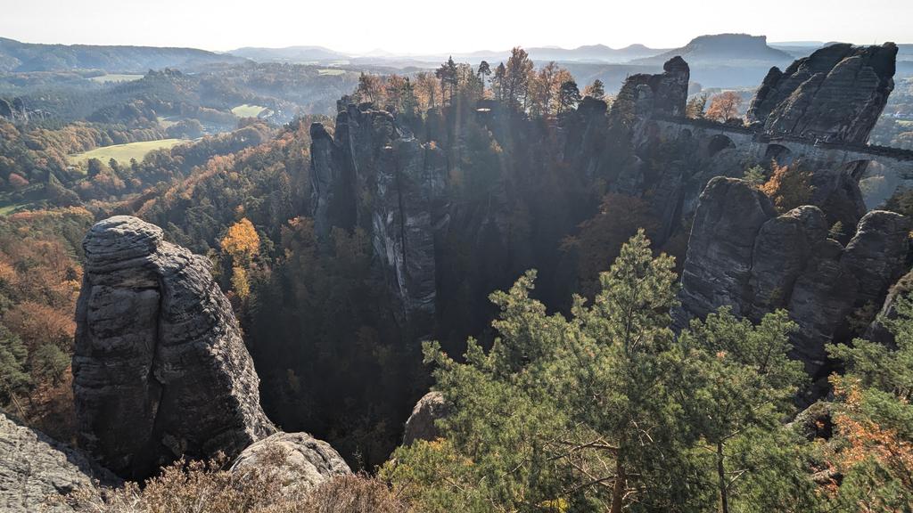 Lottie Gross tweet media