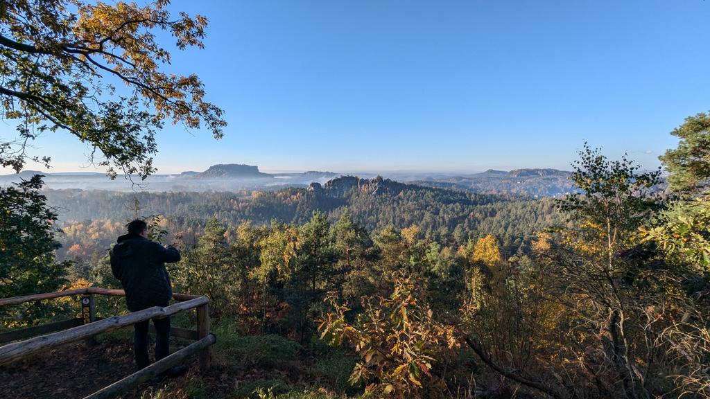 Lottie Gross tweet media