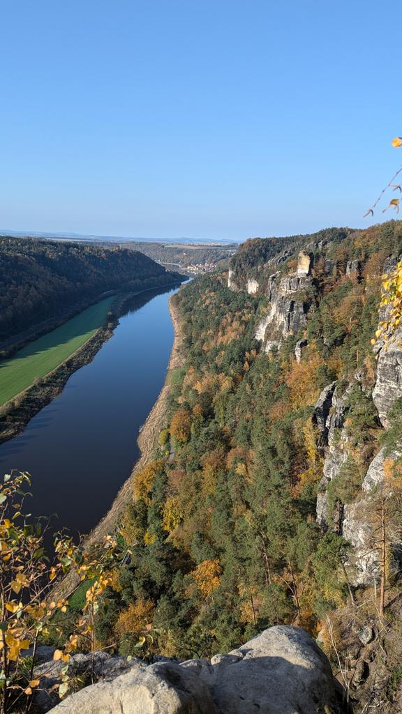 Lottie Gross tweet media