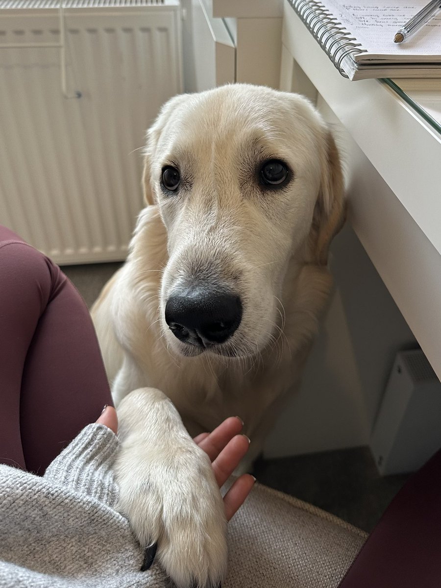 Millie White tweet media