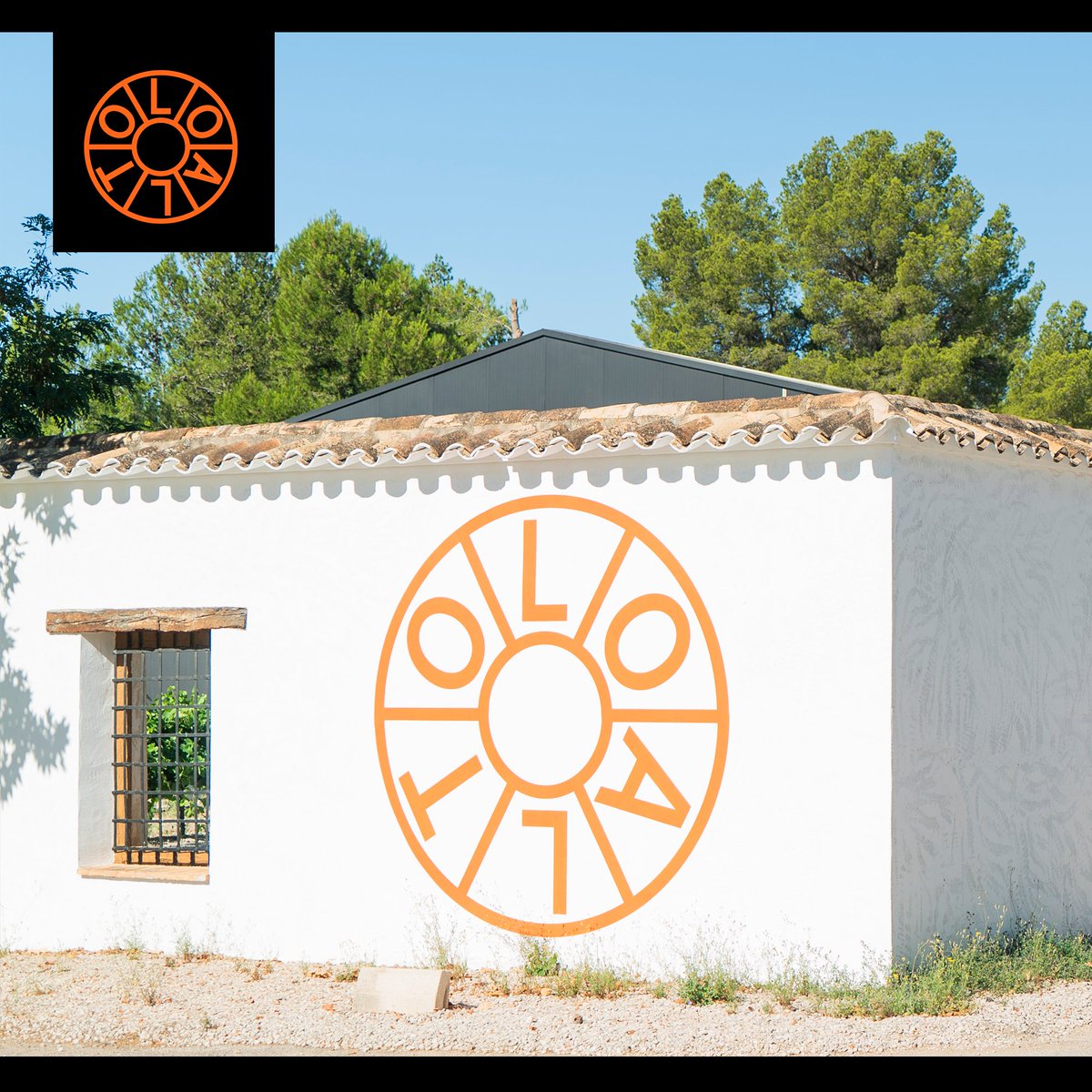 _loalto_'s tweet photo. El lugar en el que los sueños más deliciosos se hacen realidad _ The place where the most delicious dreams come true.
#LoAlto · #VinosLoAlto · #Bobal · #Garnacha · #Tardana
> https://t.co/CXd8AX7mLC https://t.co/5AVkHlg9ge
