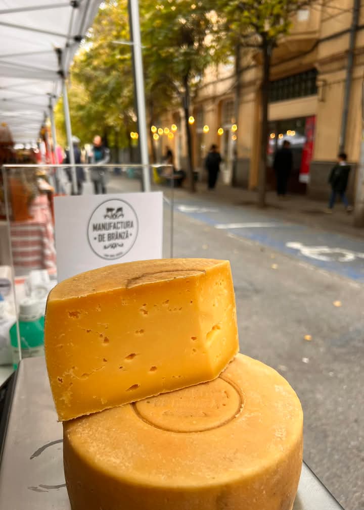 zoltanszabo's tweet photo. unpasteurized cow's milk aged for 10 months made by István Varga...this is what you call "cheese"  !!

#cheese #Cund #Kund #ManufacturadeBrânză #Transylvania https://t.co/2K5K2bZ2w1