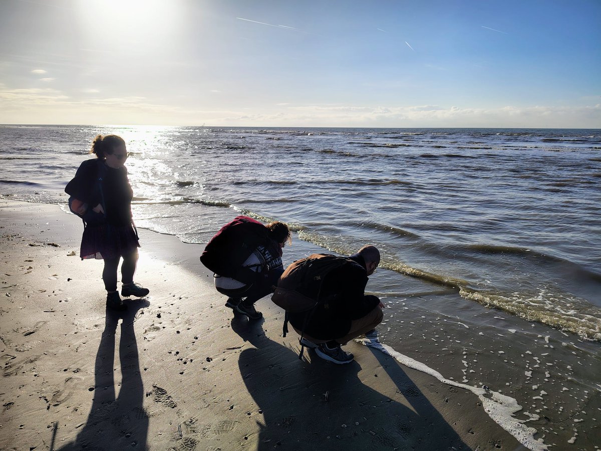 Yesterday our postdoc team did a walk in the Zuid-Kennemerland National Park 🌳🇳🇱

It was interesting to see how #conservationstrategies are applied in a country outside our study area 🎯
