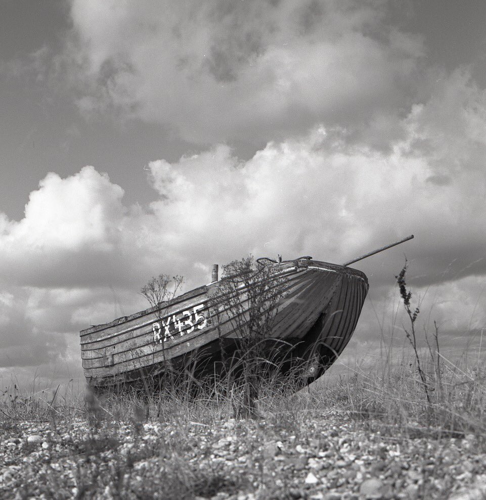 palestrina tweet media