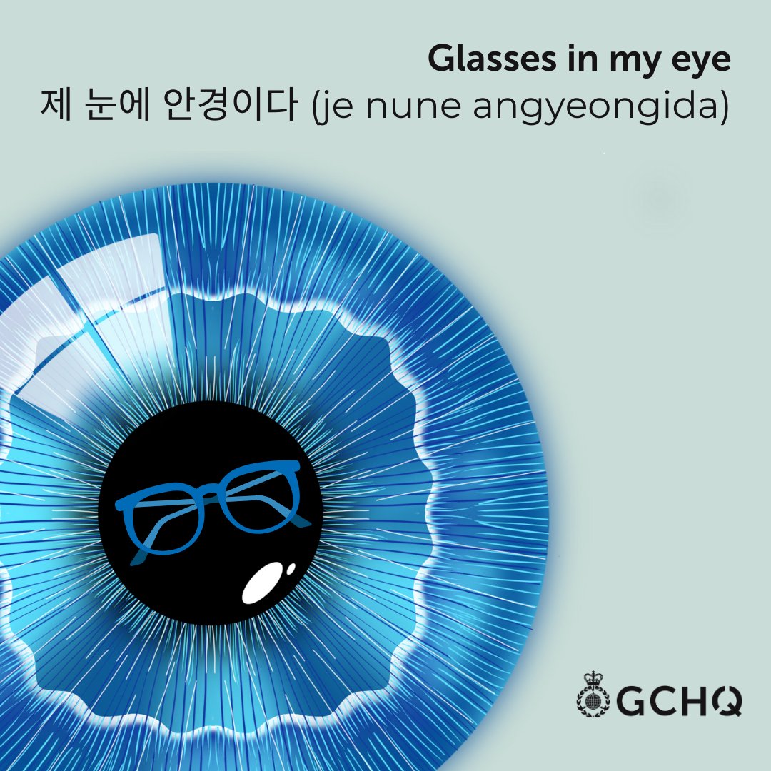 Languages are a core part of our mission, giving us a glimpse into cultures all around the world. Our linguists chose some of their most eye-catching idioms and phrases for you to enjoy. 

Can you work out what this Korean phrase might mean in English?