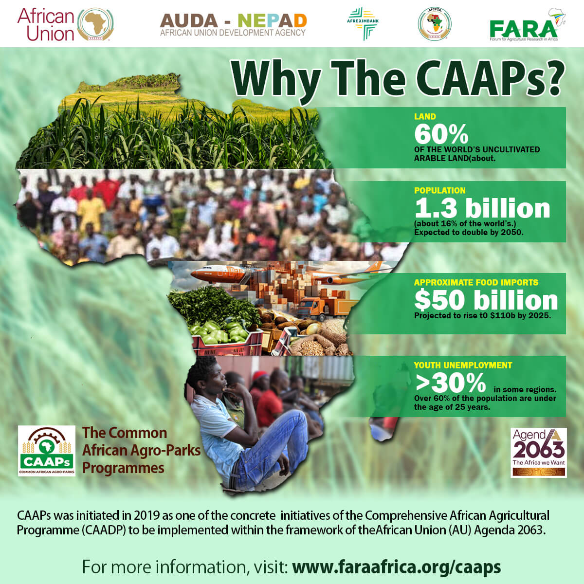 FARAinfo's tweet photo. #CAAPs are revolutionizing agriculture in Africa! Enhancing local processing &amp; building food supply corridors.

Backed by AU, @afreximbank, @AfCFTA, AfDB, FAO, FARA &amp; other institutions, we are reducing reliance on imports &amp; boosting food security.

🔗https://t.co/nDoue8FjmY https://t.co/bzYOMKuWtF