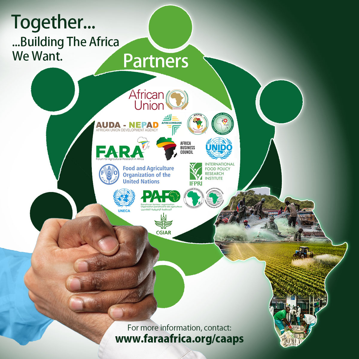 FARAinfo's tweet photo. #CAAPs are revolutionizing agriculture in Africa! Enhancing local processing &amp; building food supply corridors.

Backed by AU, @afreximbank, @AfCFTA, AfDB, FAO, FARA &amp; other institutions, we are reducing reliance on imports &amp; boosting food security.

🔗https://t.co/nDoue8FjmY https://t.co/bzYOMKuWtF