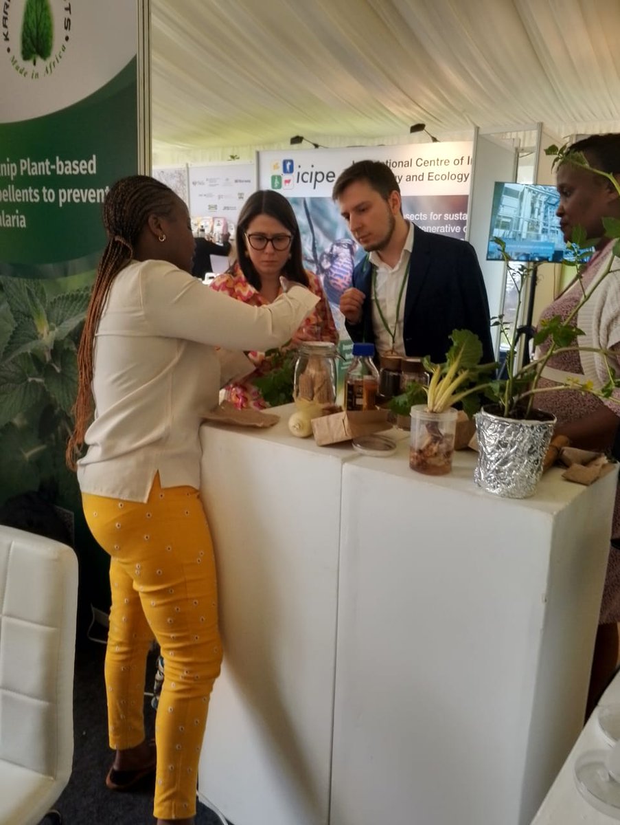 NemAfrica's tweet photo. The #DEFENCE project, in collaboration with @Biocorn, @IITA, and @icipe, under the #Bioinnovate Africa initiative, focuses on utilizing 'Furfural and Furfural-enhanced banana fiber paper' for nematode management. Global Bioeconomy Summit #GBS2024 for the first time in Africa! https://t.co/jaslURg49O