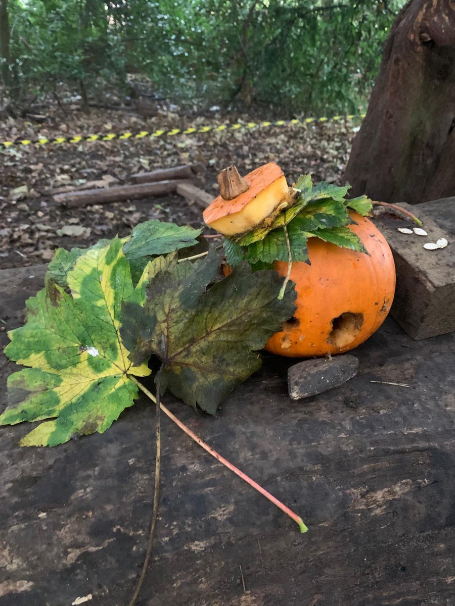 RichardsRJS tweet media