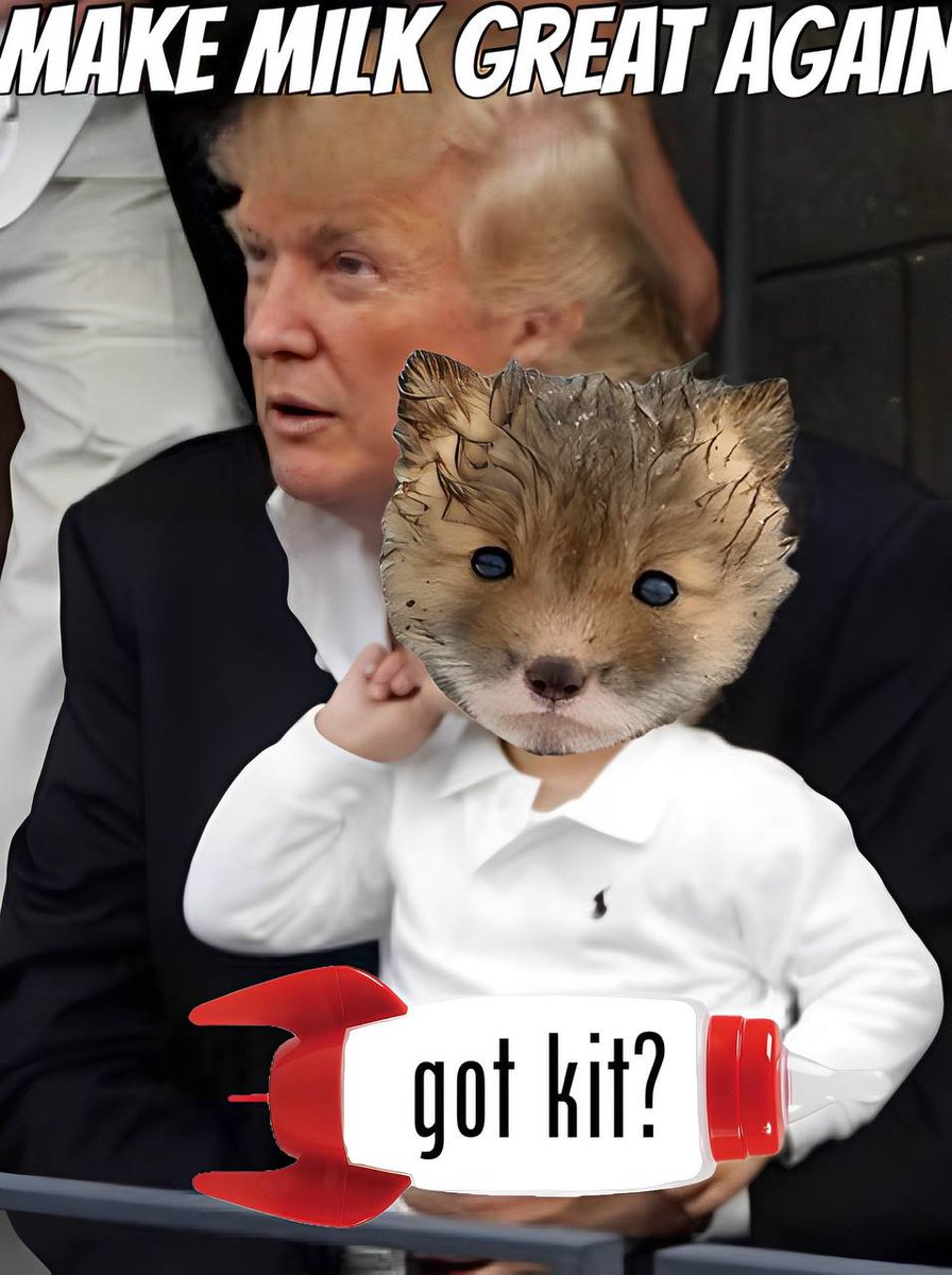 HatterOnChain's tweet photo. @jeremybtc GM @Jeremyybtcc! βοΈ
π¦ Time to spread the word about @kitsunetokensol !
This fox is thirsty for milk ready to take over #solana βjoin the movement and letβs make some noise together! ππ₯ #KITFam #BigKitEnergy https://t.co/mentDIC7mA