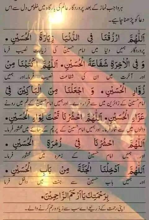 ALIZA🇵🇰 tweet media