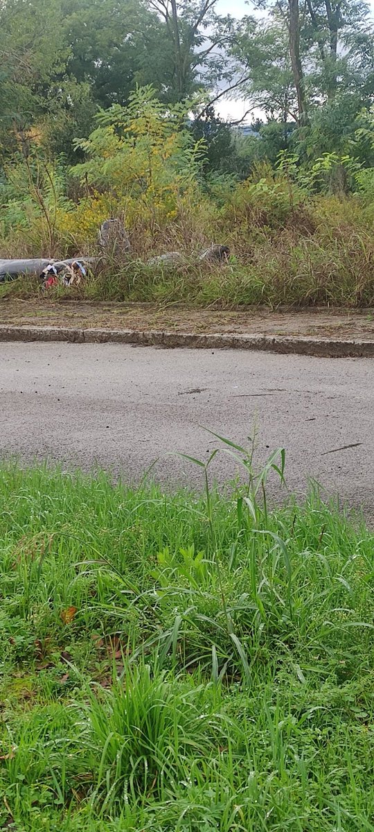 #manudaprato tweet media