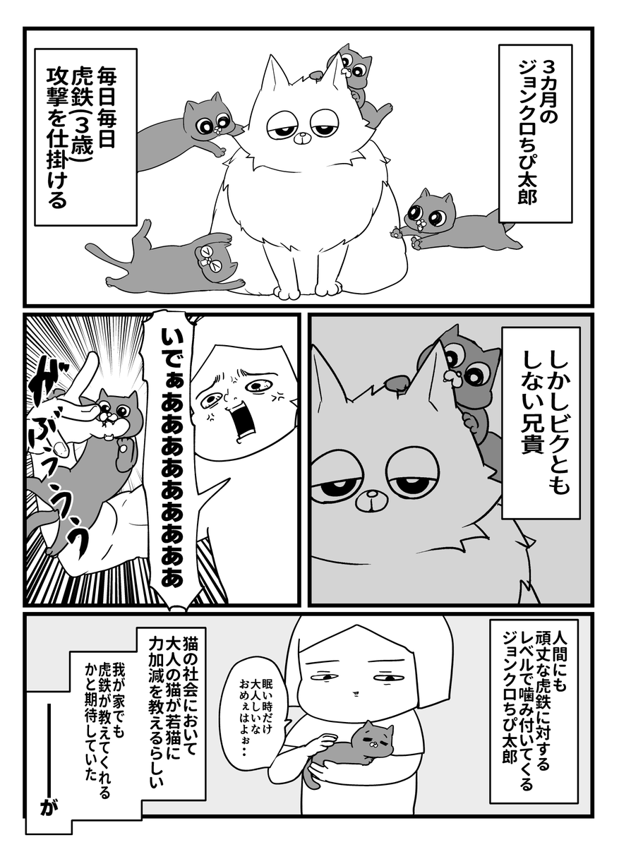 許さねぇ・・・ 