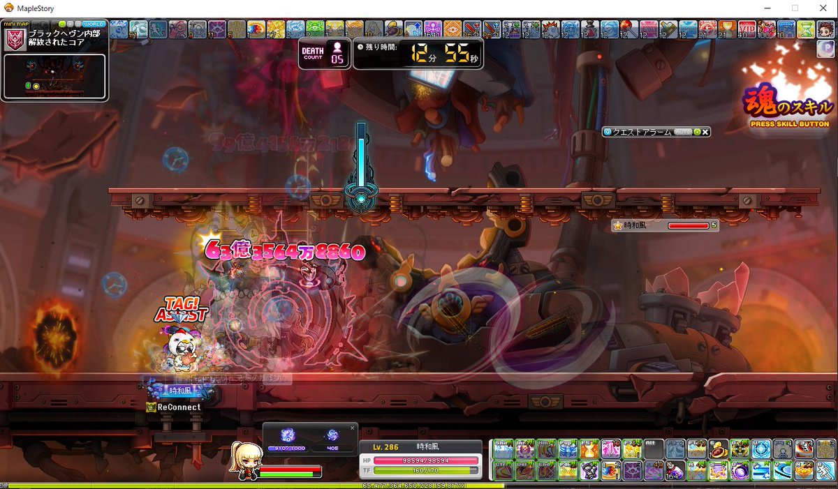 わふ〜 tweet media