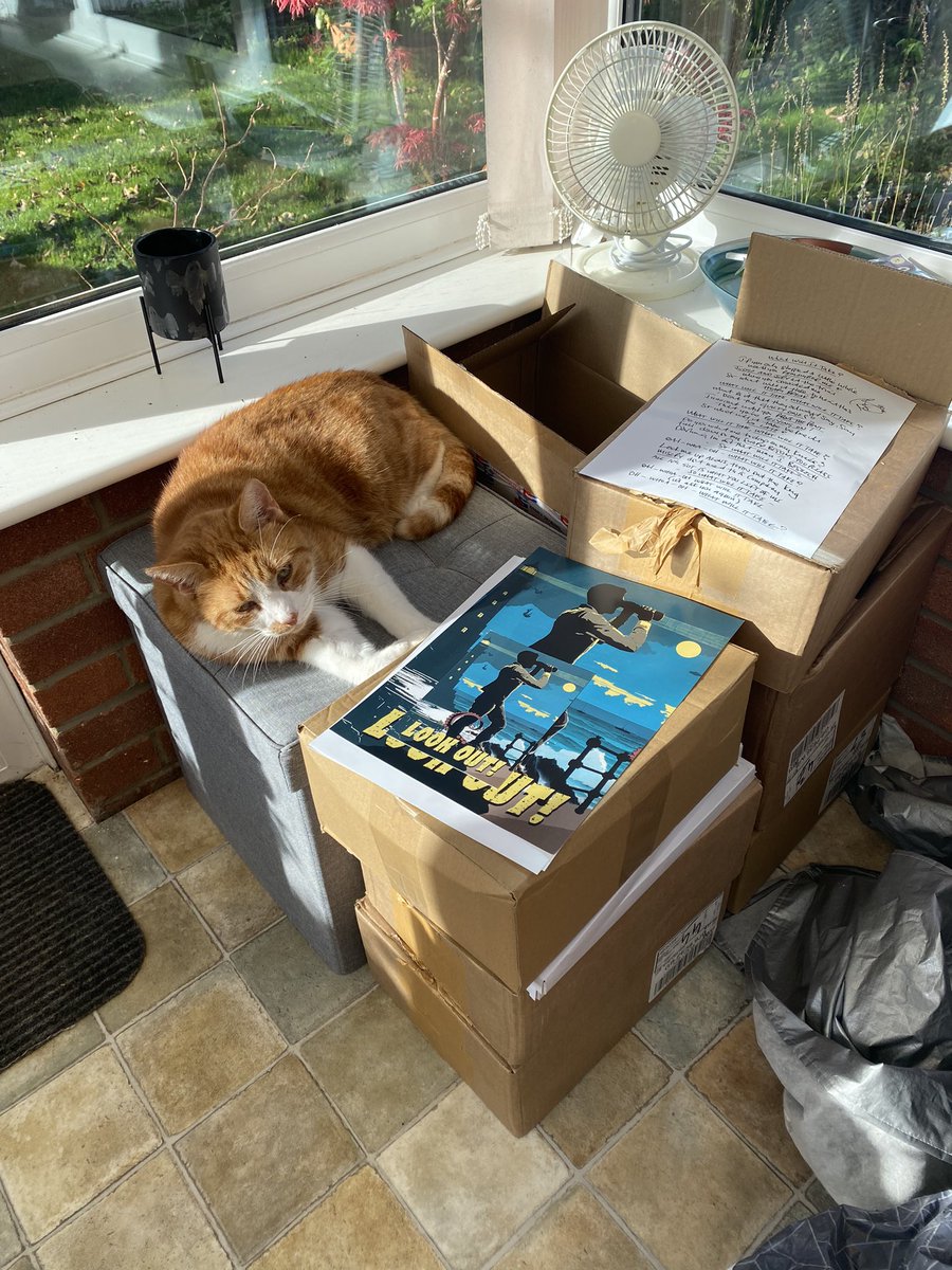 👋 Please welcome our offical gatekeeper of the ‘Look Out!’ Merchandise, ‘Snap’! 
He’s the cat’s whiskers. 🐈 😻

#Gingercat #catlover <a href="/LittleAngelsJam/">Little Angels</a>
