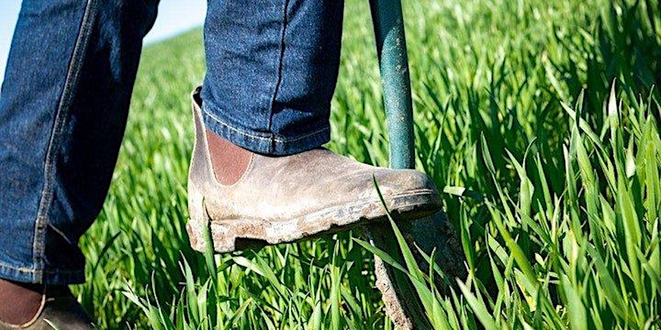 Pasture For Life (@pastureforlife) on Twitter photo 📅 Join us on Friday 8th November at Lower Hurst Farm in Derbyshire with <a href="/RegenerateOutco/">Regenerate Outcomes</a> , <a href="/TheAHDB/">AHDB</a> , and 🏆 2023 <a href="/FarmCO2Toolkit/">Farm Carbon Toolkit</a> Soil Farmer of the Year Stuart Johnson for a farm walk examining strategies to improve soil health in grazing systems.
📌 eventbrite.co.uk/e/strategies-t… 📅 Join us on Friday 8th November at Lower Hurst Farm in Derbyshire with <a href="/RegenerateOutco/">Regenerate Outcomes</a> , <a href="/TheAHDB/">AHDB</a> , and 🏆 2023 <a href="/FarmCO2Toolkit/">Farm Carbon Toolkit</a> Soil Farmer of the Year Stuart Johnson for a farm walk examining strategies to improve soil health in grazing systems.
📌 eventbrite.co.uk/e/strategies-t…