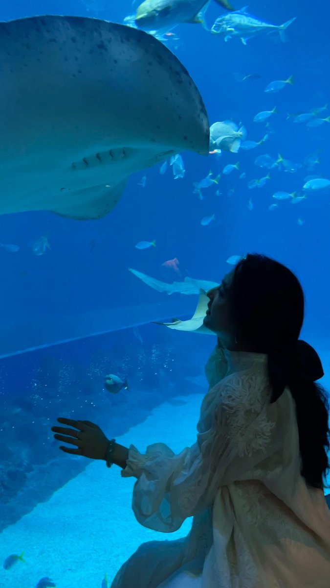 青い海の底の幻想的な世界で、海の生き物との奇妙な出会いです。🌊✨