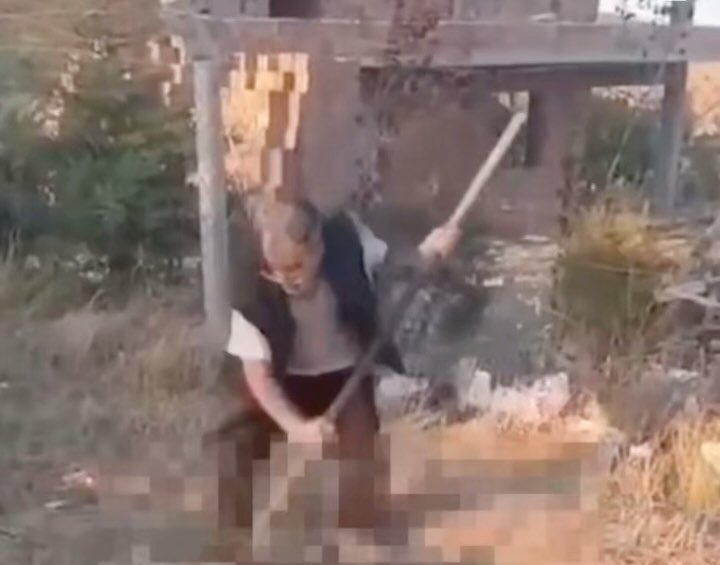 Redondo #antikapitalistcephe tweet media