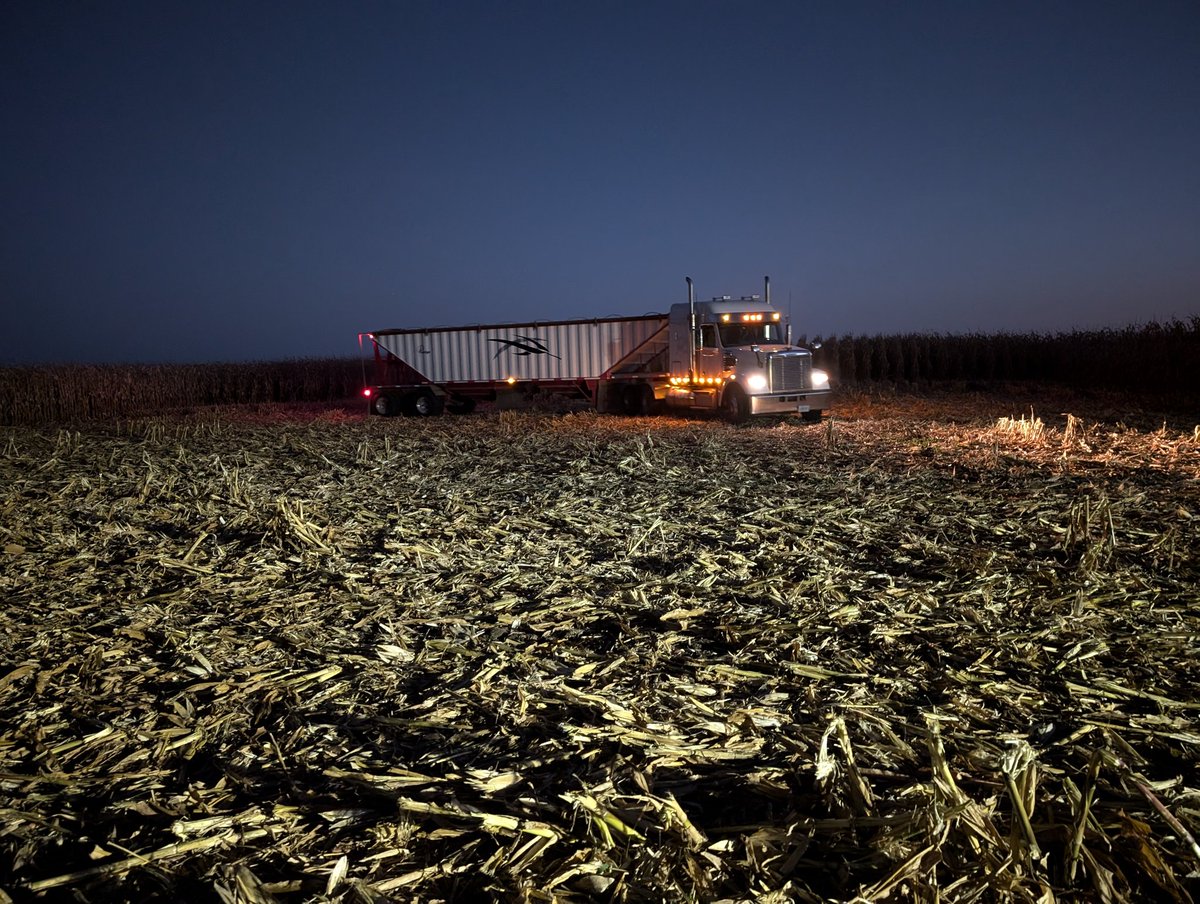 It's corn harvest. Love this time of year! #ontag <a href="/PioneerSeedsCA/">Pioneer Seeds Canada</a>