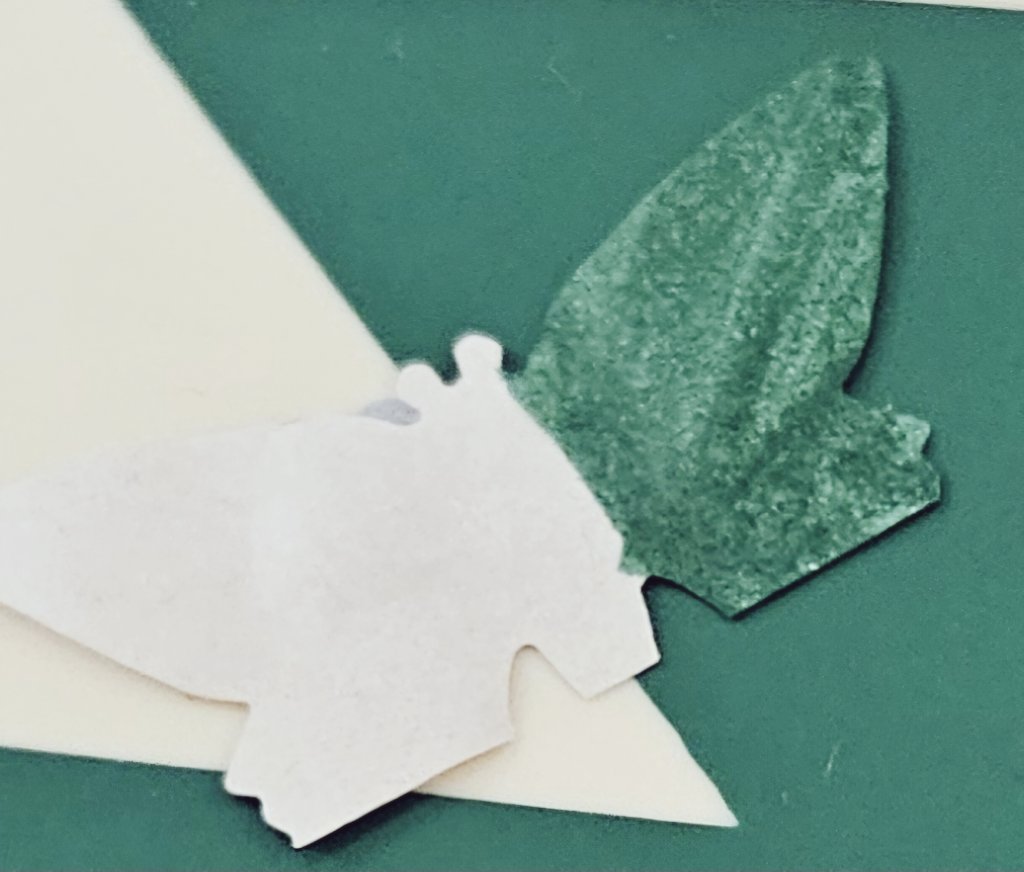 MrCoyle_Bio's tweet image. 3D Biologists consolidated their understanding of natural selection with a moth camouflage challenge today.
Thank you to @mrmartinbio for the moth cutter!
If you spot a moth in the science corridor let me know and I'll take it down. Last one standing wins!
@Springburn_sci