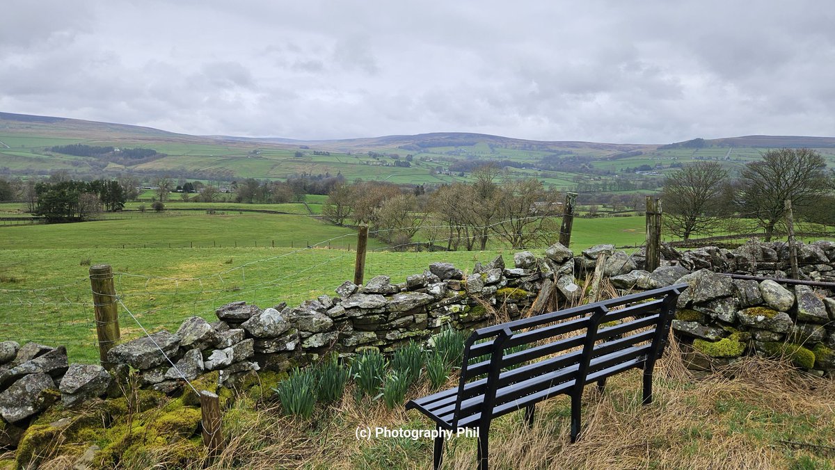 Photography Phil tweet media