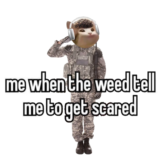 me vs. the paranoia, but i'm built different