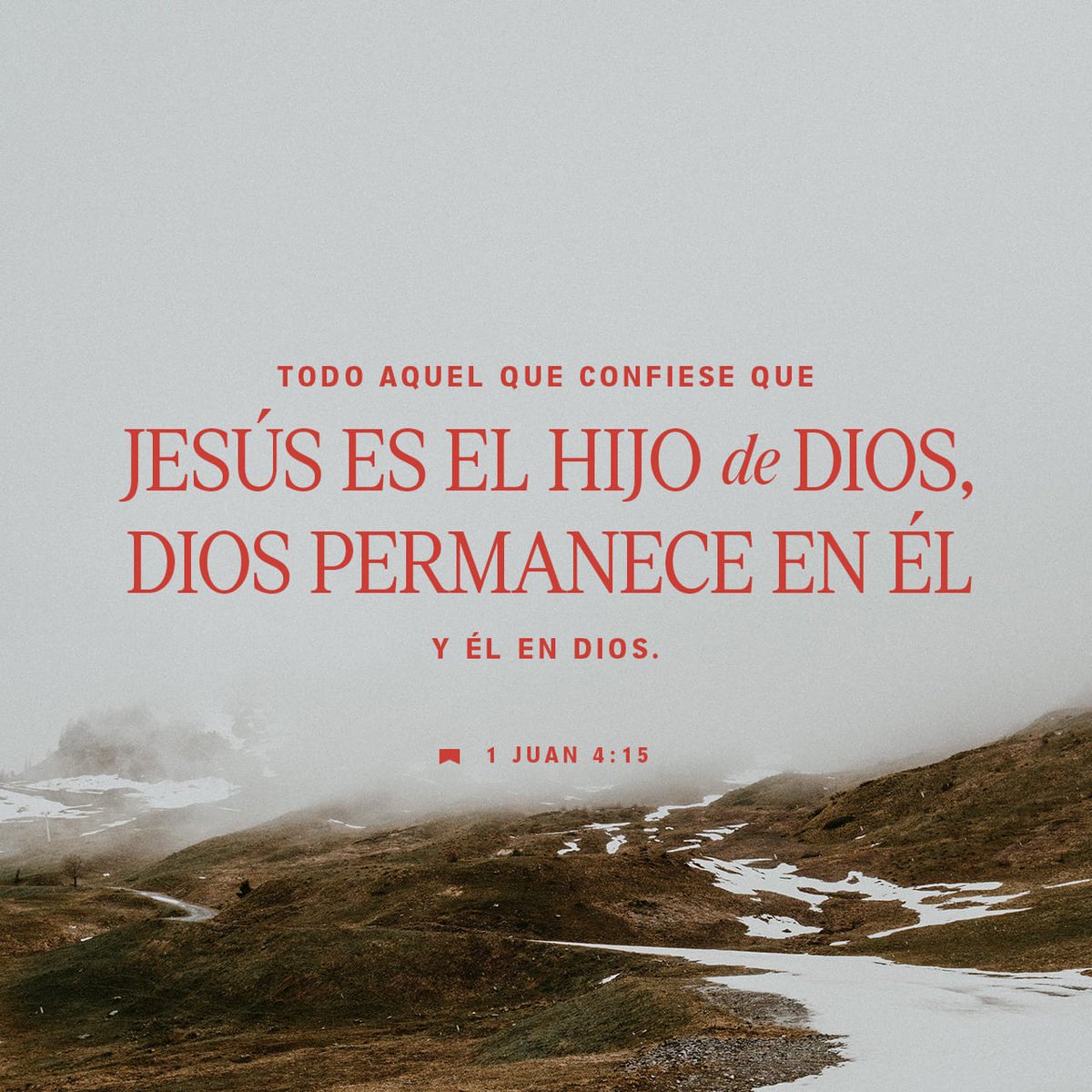 Salva12vidas's tweet image. 1 Juan 4:15 
Todo aquel que confiese que #Jesús es el Hijo de Dios, Dios #permanece en él, y él en Dios.