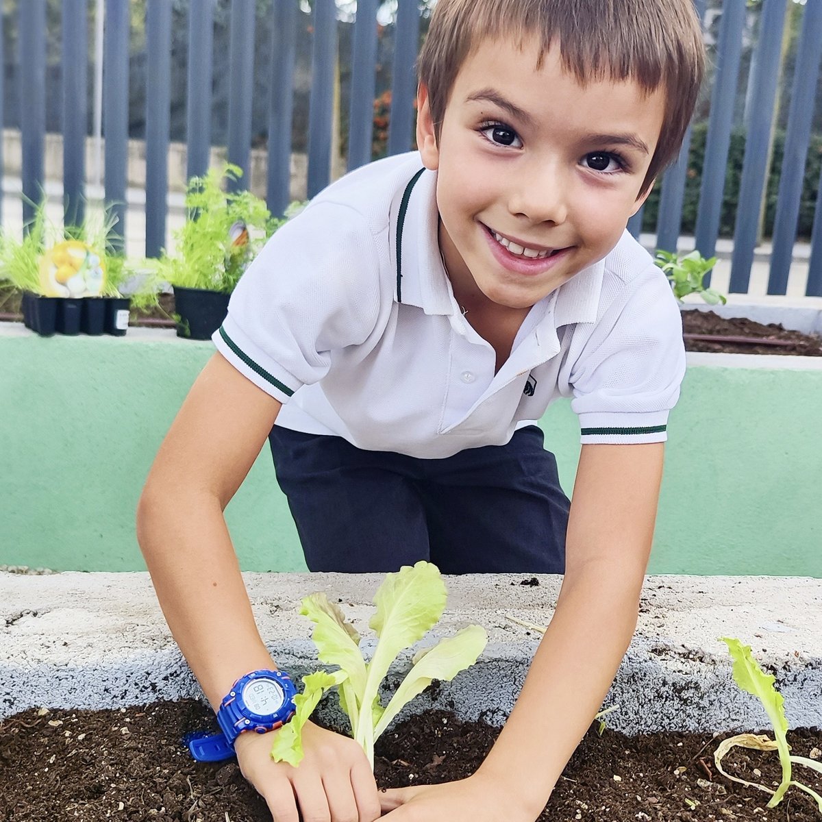 En Trinity College vamos más allá en la formación integral de los alumnos. Nuestro #HuertoEscolar refleja este compromiso con la #ExcelenciaEducativa:

✅ Educación práctica.
✅ Desarrollo de habilidades sociales.
✅ Conciencia medioambiental.
✅ Salud y bienestar emocional.