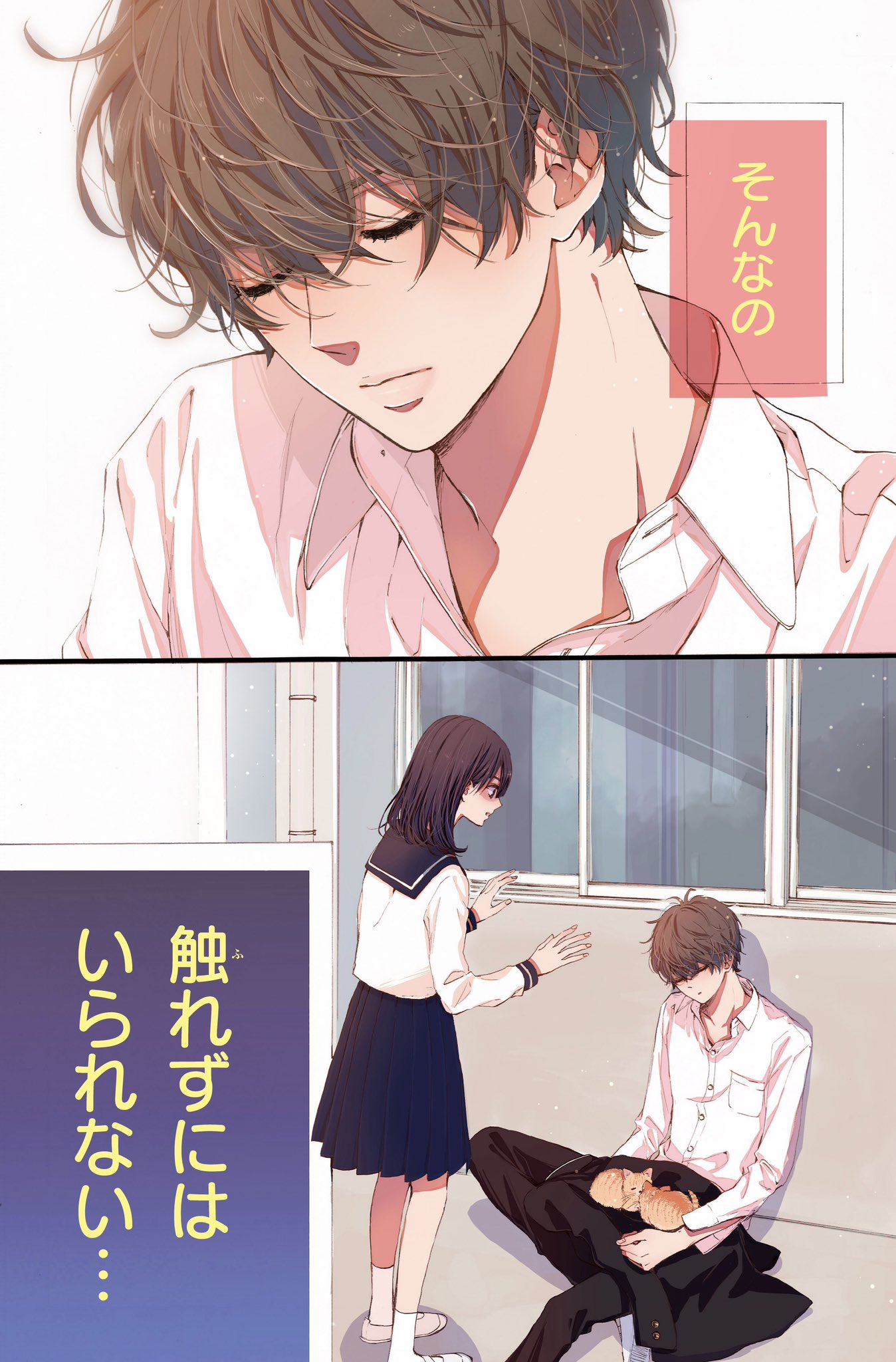 たまのごほうび 7 Amazon.co.jp: たまのごほうび 7 (マーガレットコミックス
