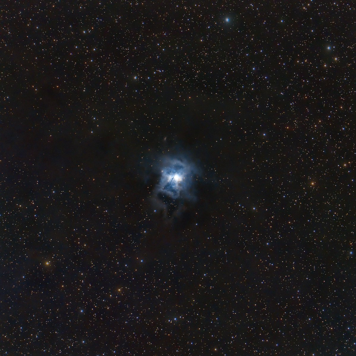 First time imaging the Iris Nebula in Cepheus last night. 

#Astrophotography