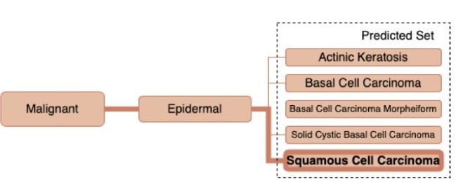 Quantifying AI uncertainty &amp; reasoning about sets of outcomes impt. for high-stakes decisions. Enjoyed collab. w/ <a href="/sancortes_95/">Santiago Cortés-Gómez</a>, <a href="/brwilder/">Bryan Wilder</a> &amp; colleagues on "backing the utility structure of diagnosis" into the learning process: Studies show significant reduction of decision loss.