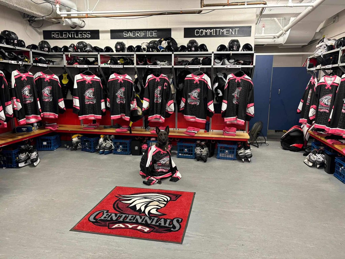 Ayr Centennials (@ayrcentennials) on Twitter photo Special night tonight. Photo bomb by assistant equipment manager Ahri 🐕 #pinkintherink <a href="/4_cens/">Ayr Centennials Alumni</a> Special night tonight. Photo bomb by assistant equipment manager Ahri 🐕 #pinkintherink <a href="/4_cens/">Ayr Centennials Alumni</a>