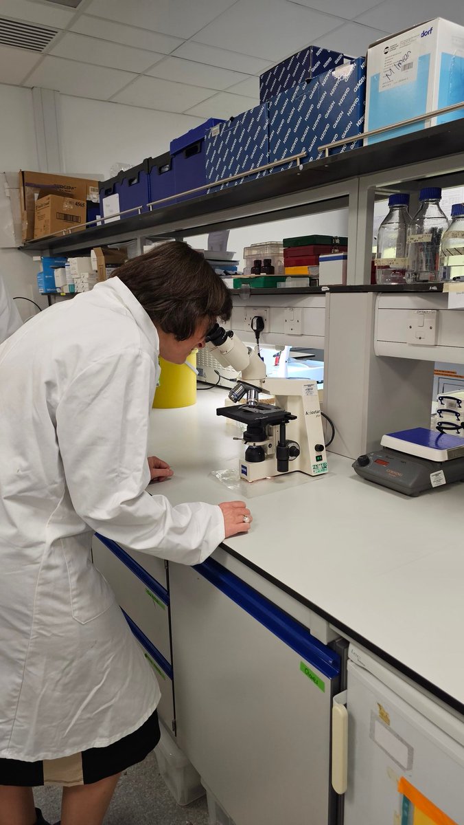 Deborah Alsina (also on Blue Sky) (@deborahalsina) on Twitter photo Well that was a lovely visit to Birmingham Uni/Queen Elizabeth Hospital today, where we <a href="/VersusArthritis/">Versus Arthritis</a> have made significant investment in research&fellowships. Some gr8 presentations & engaging visit around the labs.
Huge thanks for the hospitality and warm welcome. Well that was a lovely visit to Birmingham Uni/Queen Elizabeth Hospital today, where we <a href="/VersusArthritis/">Versus Arthritis</a> have made significant investment in research&fellowships. Some gr8 presentations & engaging visit around the labs.
Huge thanks for the hospitality and warm welcome.