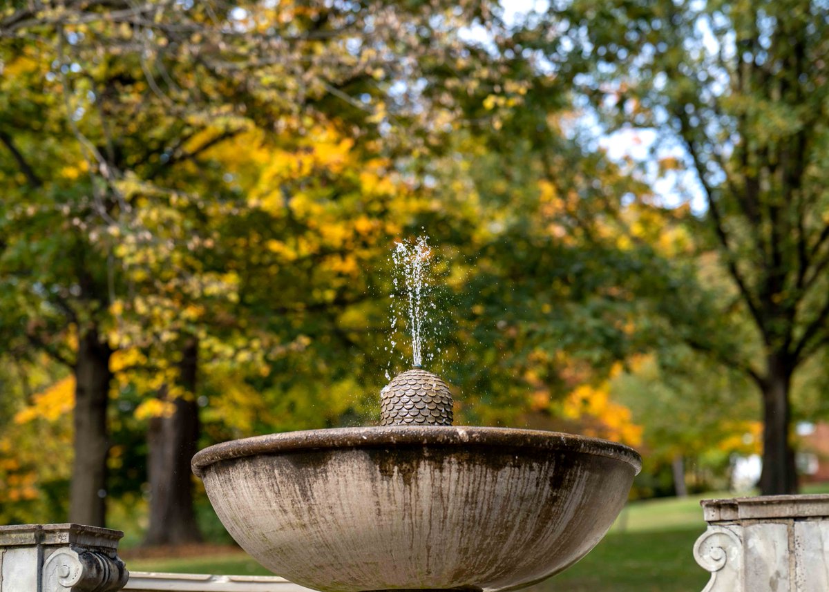 Fallin’ in love. The beauty of Wittenberg’s campus never gets old. Enjoy the latest shots by John Coffman Photography.
 #WittandYou #TigerUp®