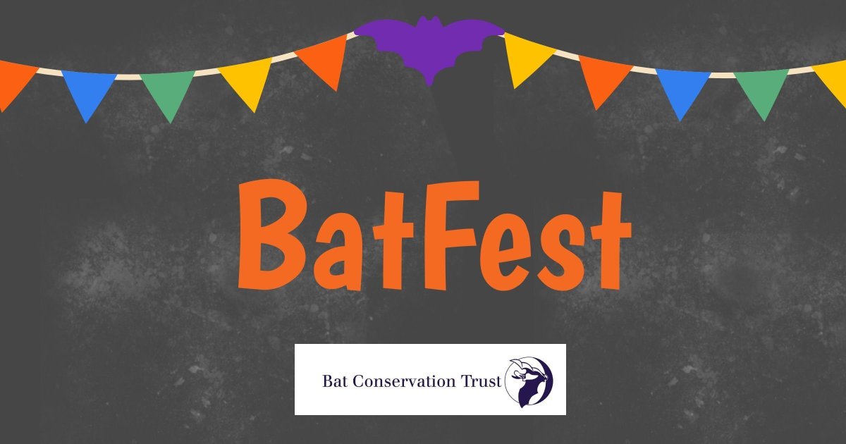 _BCT_'s tweet photo. FREE online talk as part of #BatFest: In conversation about bats - @NilsBouillard and Shirley Thompson MBE.
Come in join the conversation as they share their experiences in the bat world. Friday 25 Oct 2024 7:00 PM - 8:00 PM BST BOOK NOW https://t.co/LxyzKQ3oWh https://t.co/JYu2nq5qKU