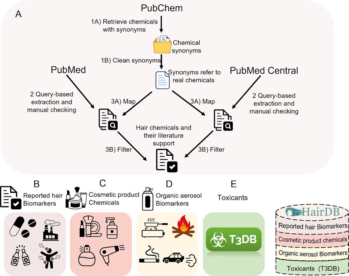 Congratulations to the <a href="/TaoThuan/">Tao Huan</a> Lab for their new publication  in <a href="/env_int_journal/">Environment International</a> on "Constructing HairDB to facilitate #exposome research using human hair"