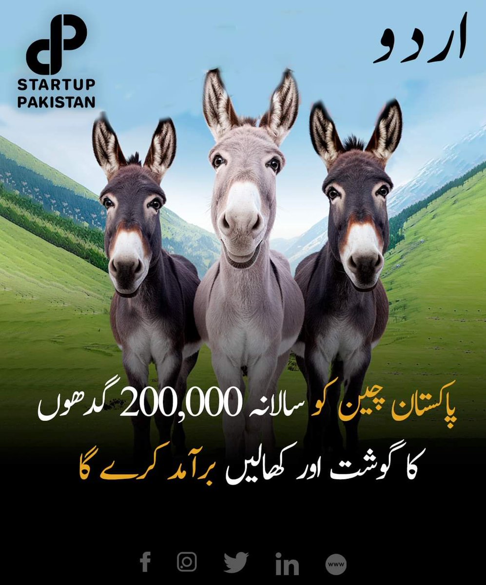 Ansh_Ch5472's tweet photo. پاکستان میں ایک نسل کی اب خیر نہیں 🫣 https://t.co/KffBhIHdOH