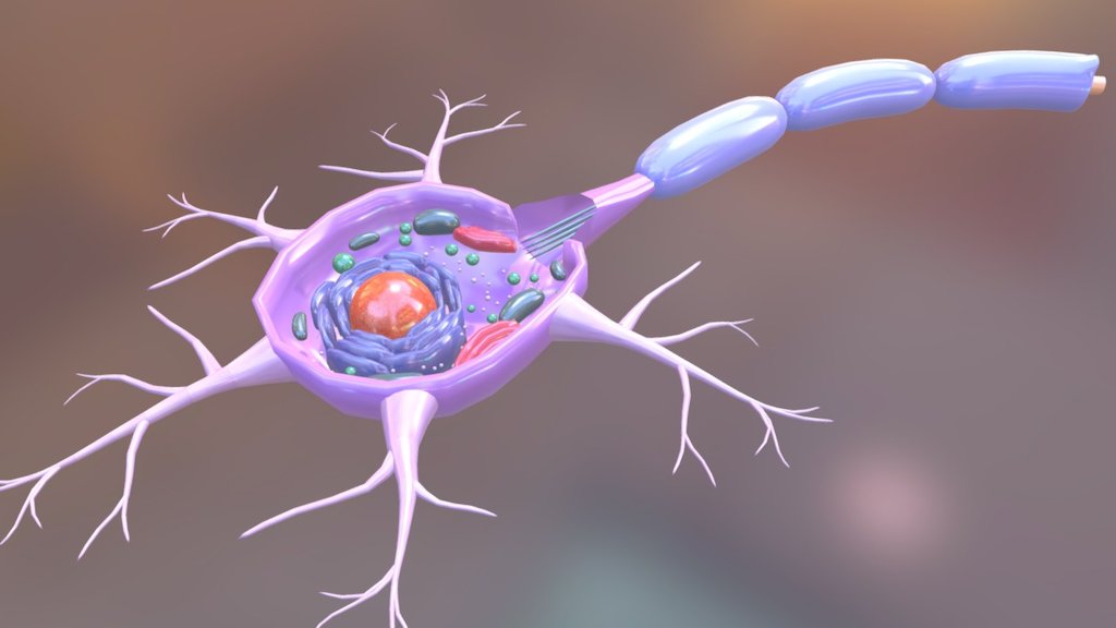 EVA Labs Intelligence Foundation tweet media