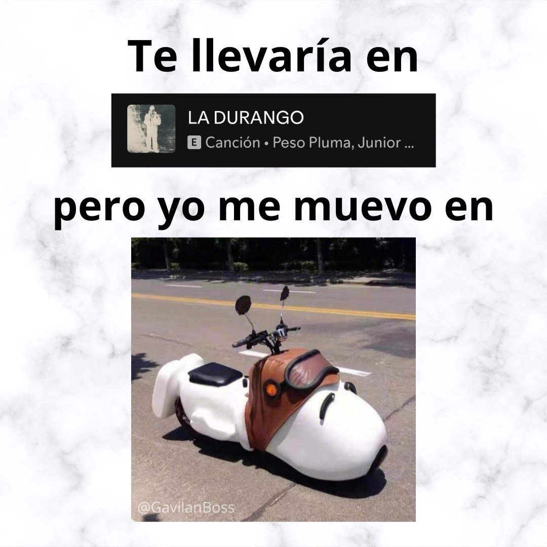 Gavilán 🕷️ (@gavilanboss) on Twitter photo 