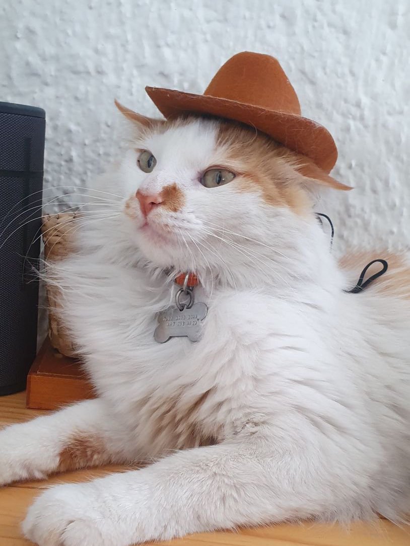 abril romero tweet media