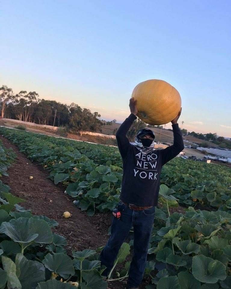 United Farm Workers tweet media