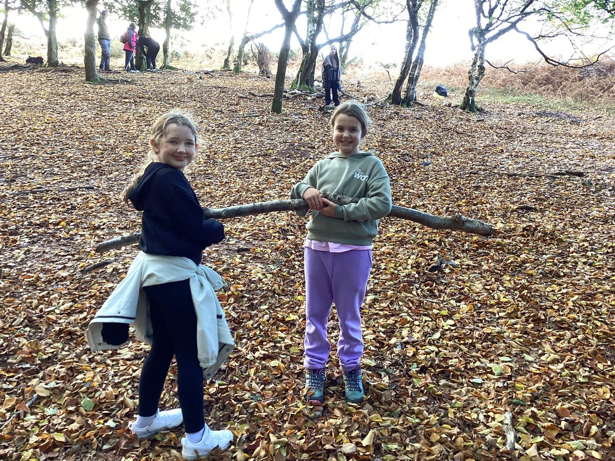 Maple2Class_RE's tweet image. 