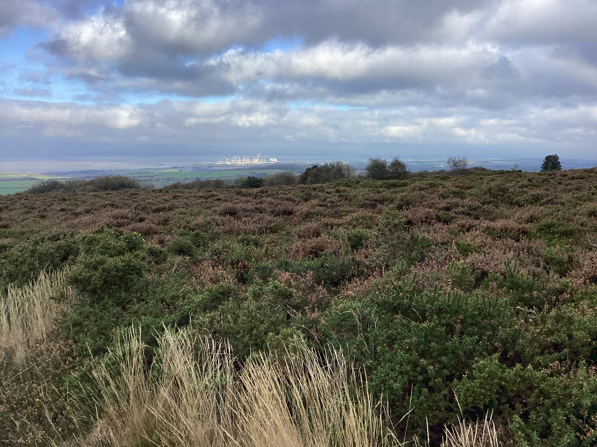 Maple2Class_RE's tweet image. 