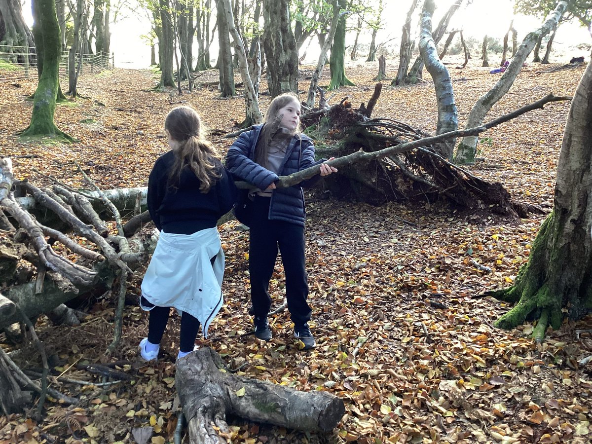 Maple2Class_RE's tweet image. 