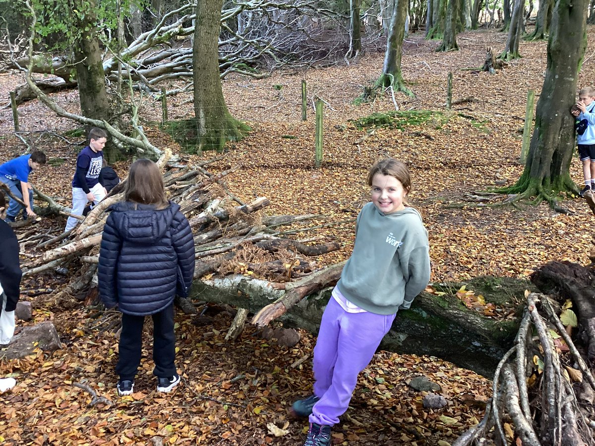 Maple2Class_RE's tweet image. 