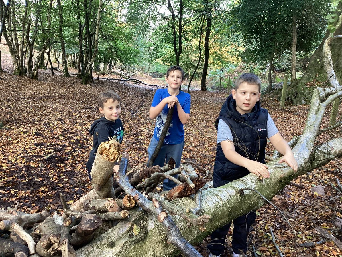 Maple2Class_RE's tweet image. 