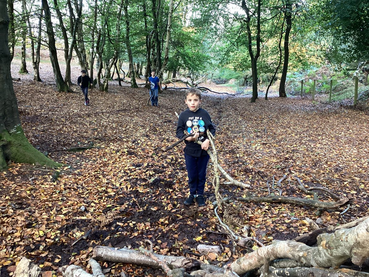 Maple2Class_RE's tweet image. 