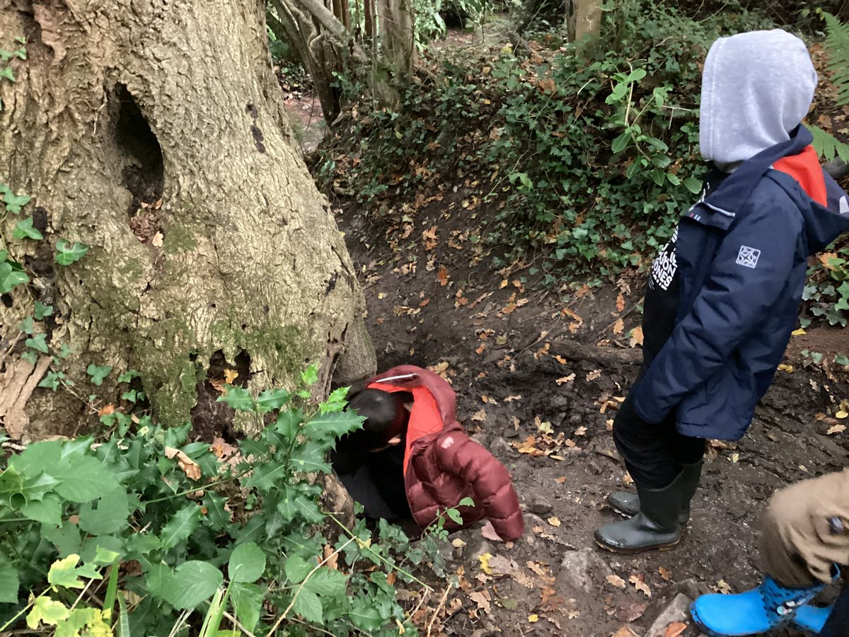 Maple2Class_RE's tweet image. 